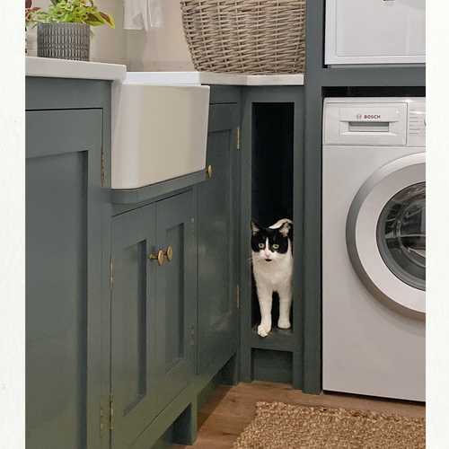 Function. Our functional designs are always based around practicality, as much as look and feel. We installed picture windows and doors into this property, meaning a traditional cat flap wasn't an option. This niche purrrfectly (couldn't resist) conceals the cat flap on a discreet external side wall of the house.
.
.
.
.
.
.
#utilityroomdesign #interiorarchitecture #finctionaldesign #hiddencatflap #interiordesigners #moderninterior #modernhome #utilityroom #homedesign #interiors #interiordesigner #ilkley #catflap #liftingthelid #hitchcockspiersdesign